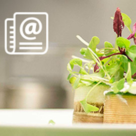 Sign up for our newsletter for promo updates!